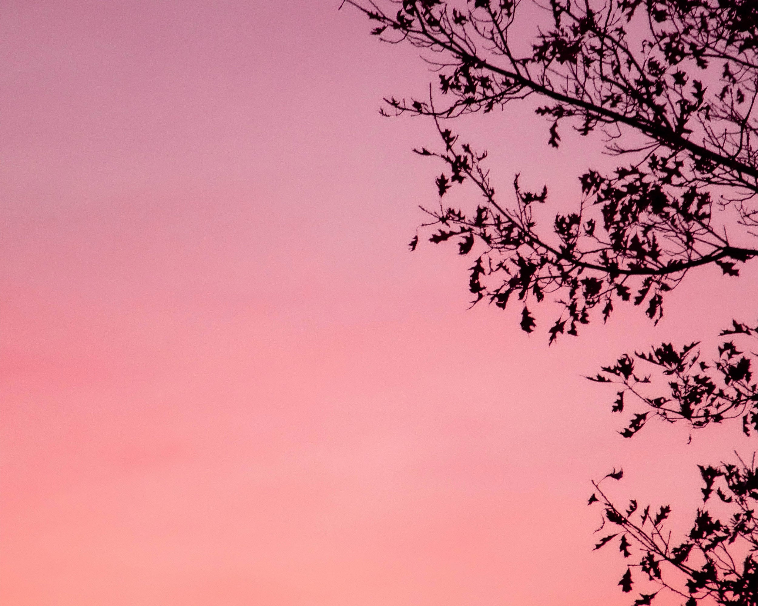 The Summer Soul-stice